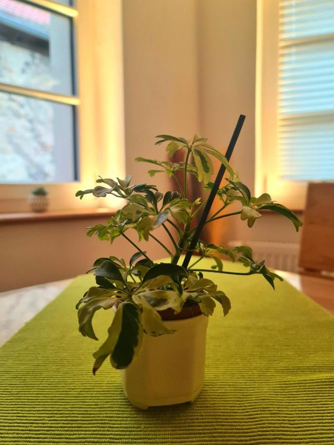 Apartment Genussvolle Auszeit Beim Winzer-apartment Biengarten Neustadt an der Weinstrasse