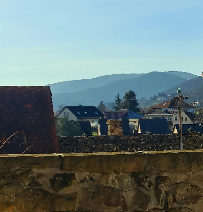 Genussvolle Auszeit Beim Winzer-apartment Biengarten