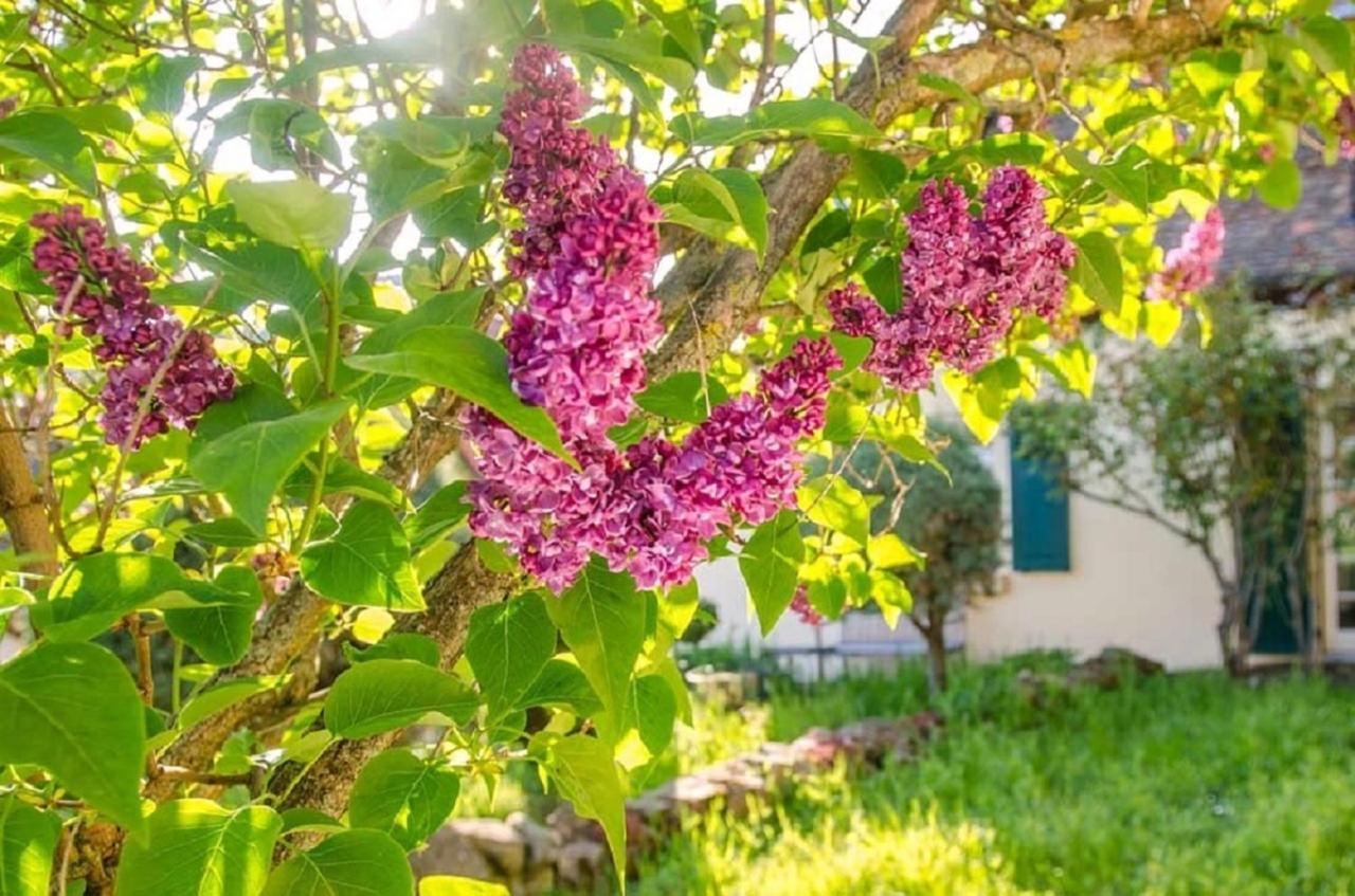 Apartment Genussvolle Auszeit Beim Winzer-apartment Biengarten